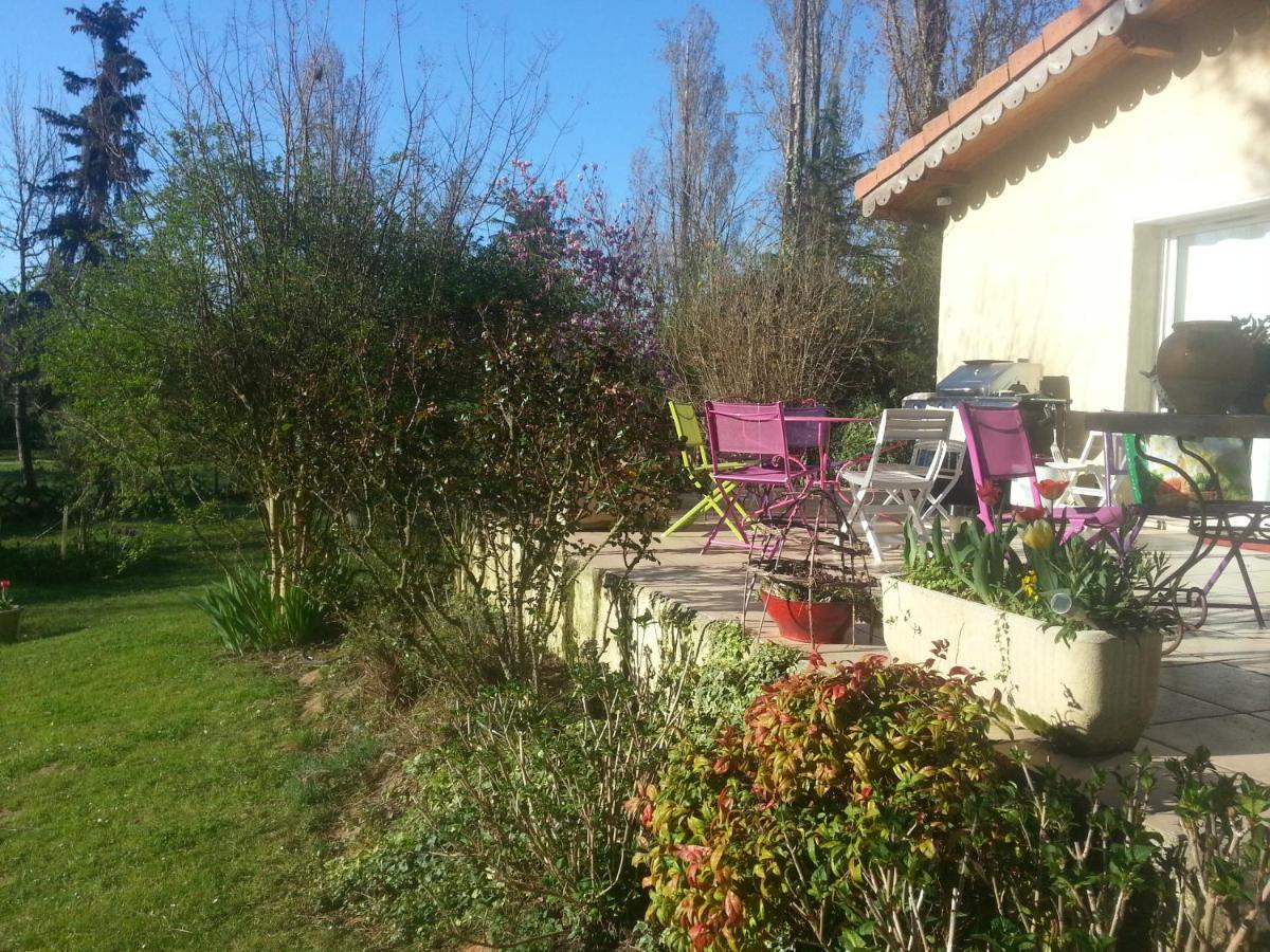 Bed and Breakfast Asinus 32 Viozan Exterior foto