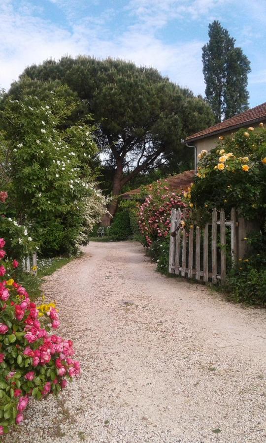 Bed and Breakfast Asinus 32 Viozan Exterior foto