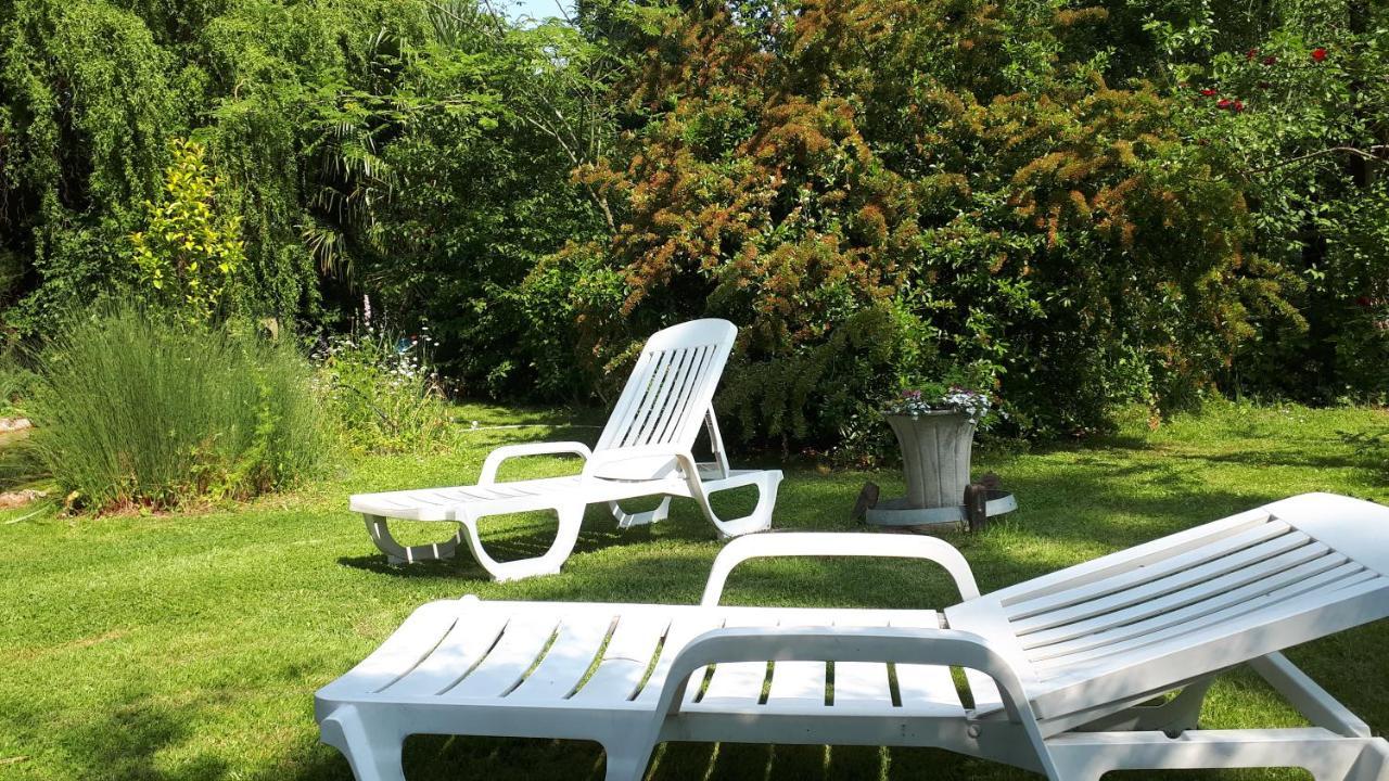 Bed and Breakfast Asinus 32 Viozan Exterior foto