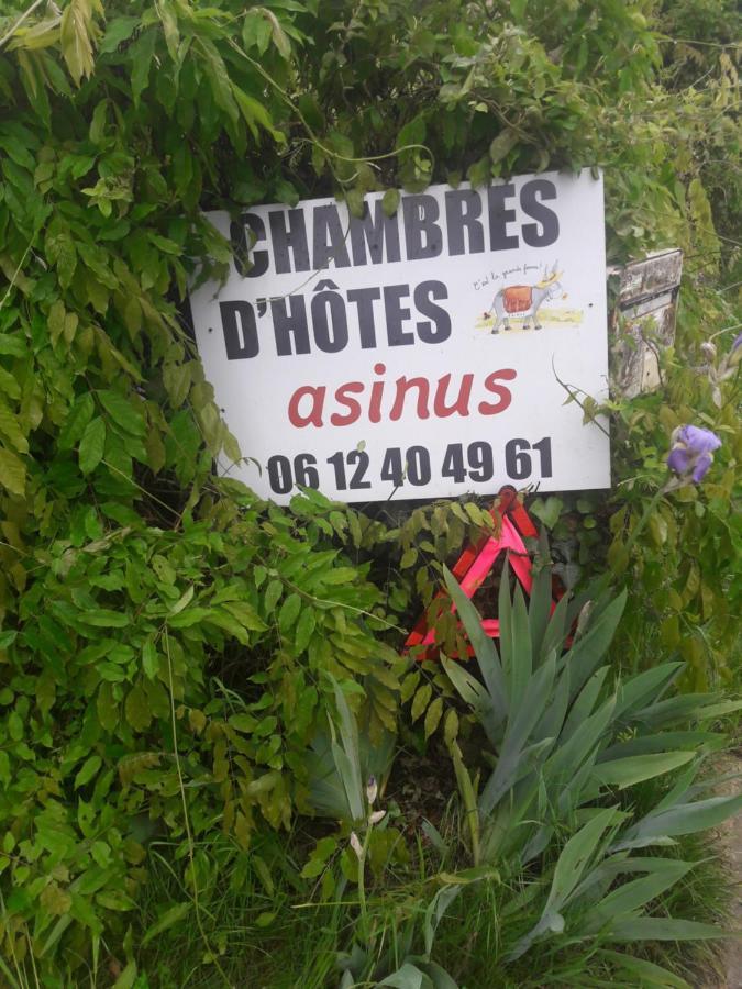 Bed and Breakfast Asinus 32 Viozan Exterior foto