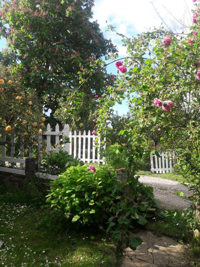 Bed and Breakfast Asinus 32 Viozan Exterior foto